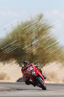 media/Oct-13-2025-Moto Forza (Mon) [[a66d839500]]/3-B Group/Session 4 Turn 4 Tree of Life/